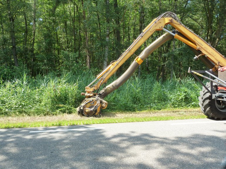 Provincie Overijssel maakt extra stap in ecologisch bermbeheer