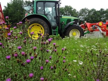 Meer biodiversiteit in de bermen: Kleurkeur nu een keurmerk