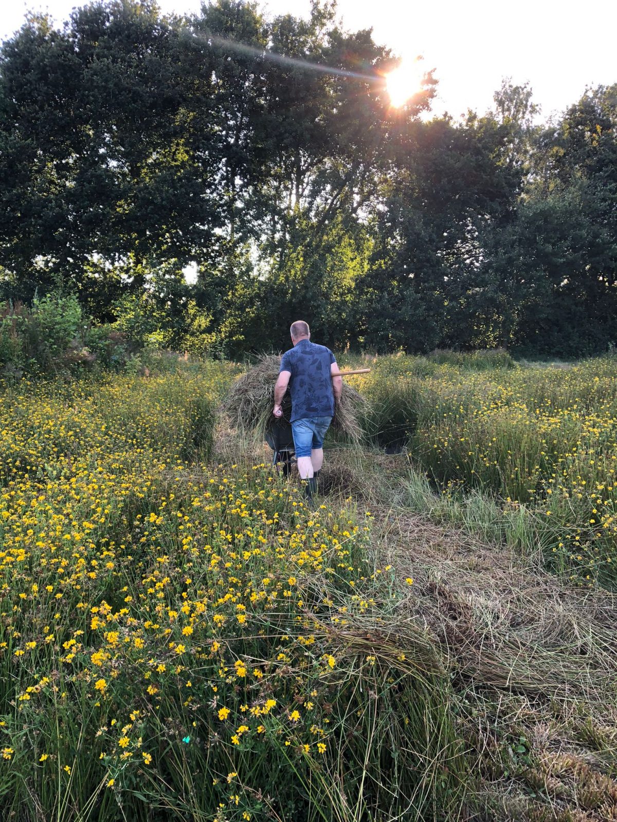 Opgeruimd rommelig – Het biodiverse Eenkerdveld