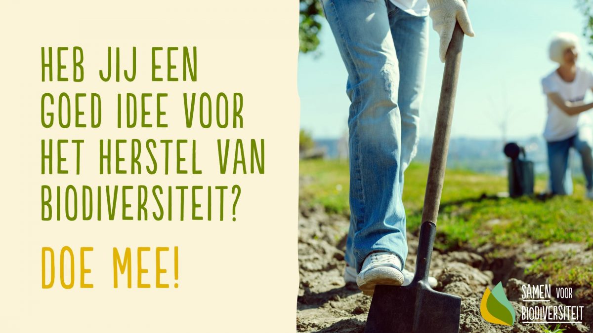 Innovatiefonds ‘Samen voor Biodiversiteit’