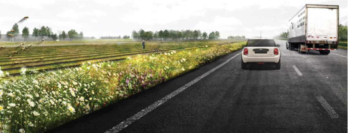 Natuurorganisaties pleiten voor Drentse Honey Highway