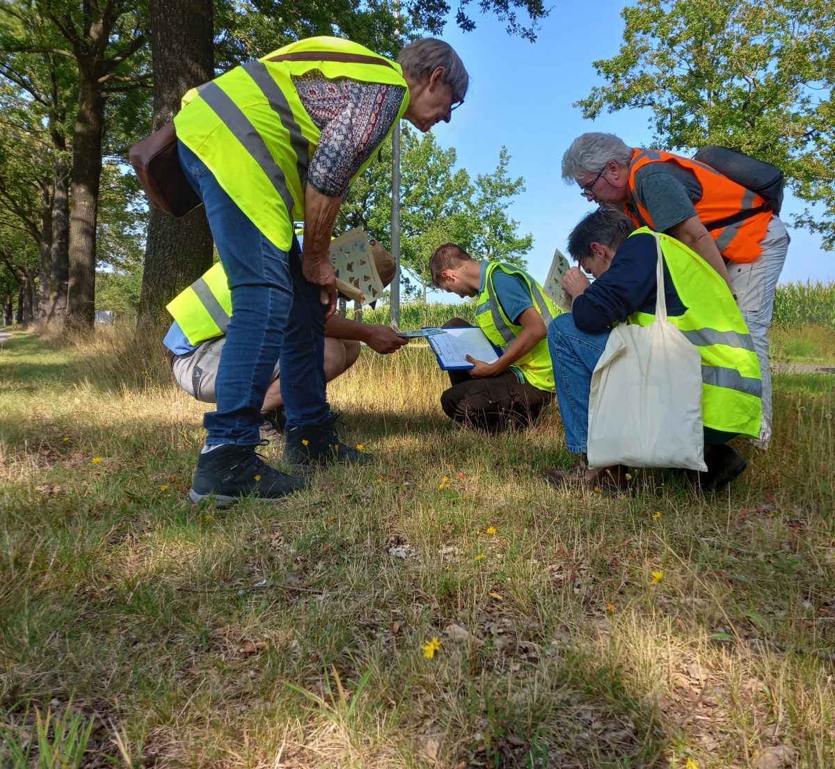 Samen tellen van b(l)oeiende planten in berm in eigen buurt!